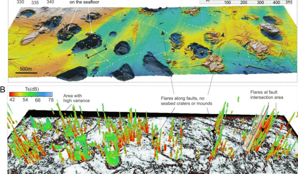The study covered 20 percent of the crater area in the Barents Sea. (Illustration: Malin Waage)