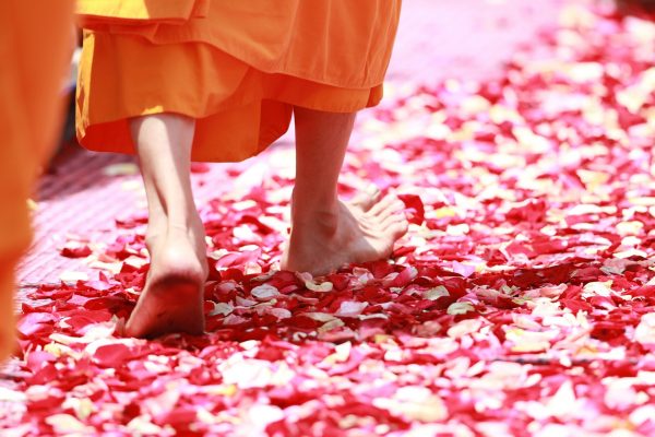 The path of cultivation is not strewn with rose petals. (Image: Pixabay / CC0 1.0)