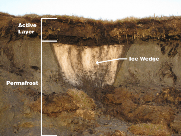 The layers of permafrost. (Image: Benjamin Jones, USGS. Public domain (modified))