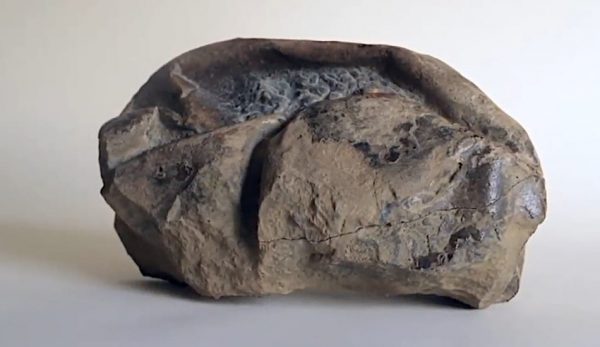 The egg, thought to be from a giant mosasaur, was discovered by Chilean scientists in 2011 and was known only as 'The Thing.'
