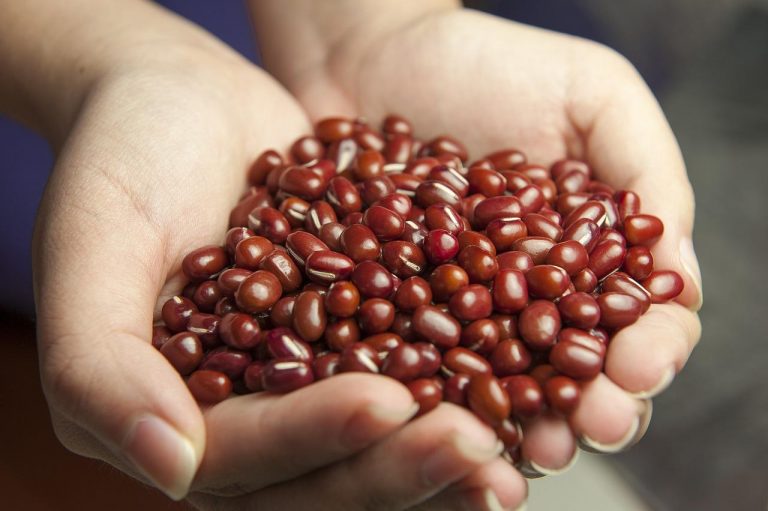 Red beans are red food for the heart.