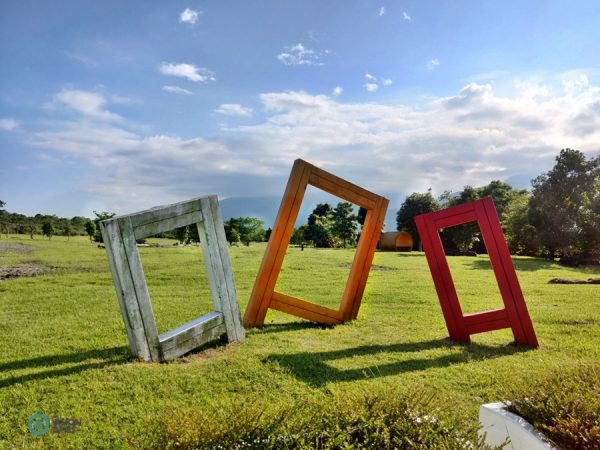 The Danongdafu Forest Park has become a popular attraction in the East Rift Valley in eastern Taiwan. (Image: Julia Fu / Vision Times)