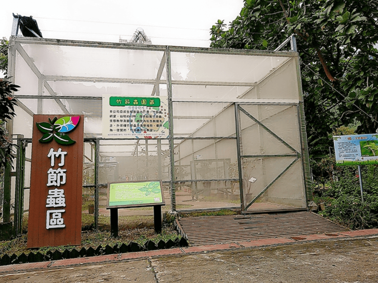 The Stick Insect Display Zone in Asia Cement Ecological Park.