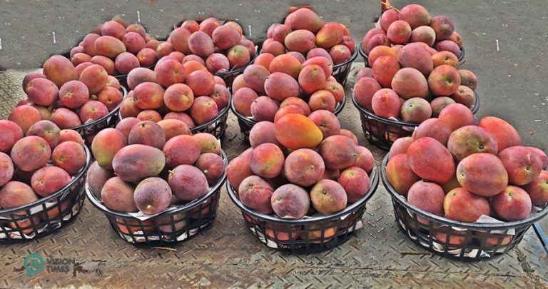 There are also many mangoes and other seasonal fruits sold on small truck outside Yujing mango wholesale market.