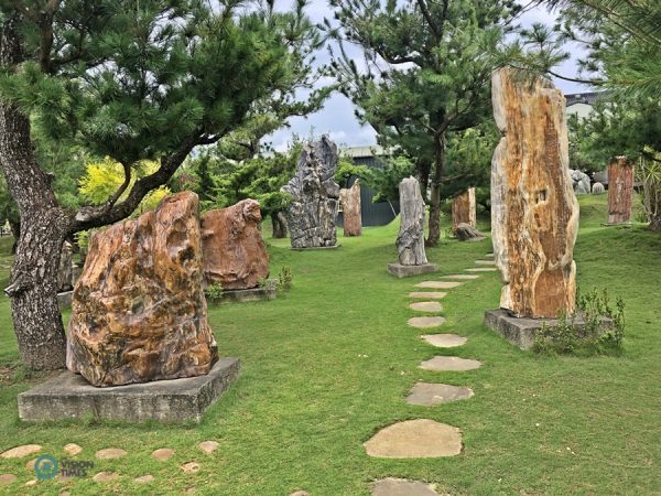 There are many petrified wood at Dazhishan Xuankong Temple. (Image: Billy Shyu / Vision Times)
