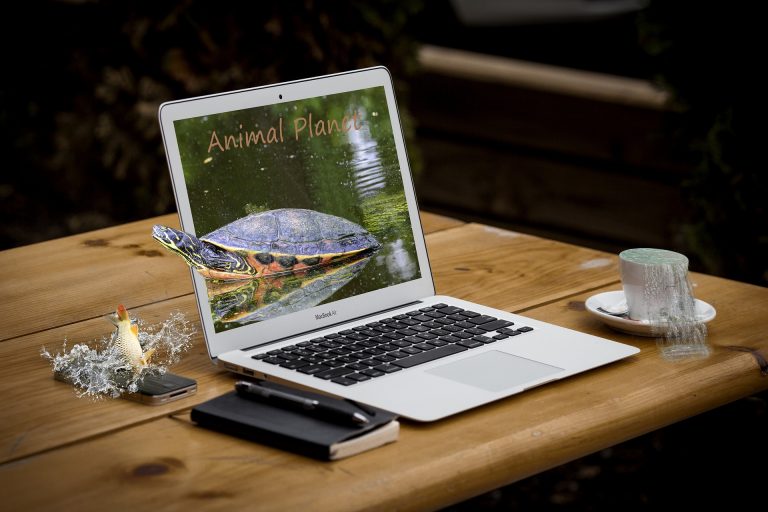 streaming laptop