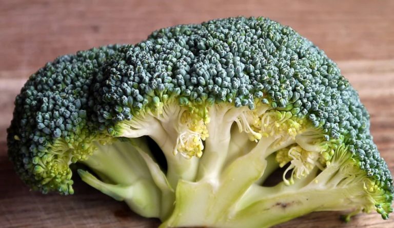 Broccoli is a good source of nutrients and minerals. 