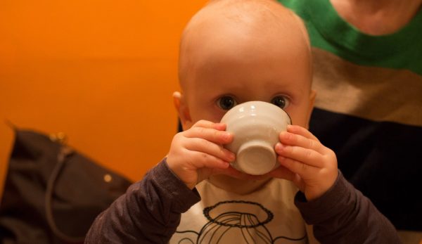 Adult whey protein milk powders might cause protein toxicity in infants.