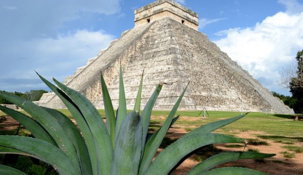 The Mayans had excellent indigenous knowledge about managing biodiversity.