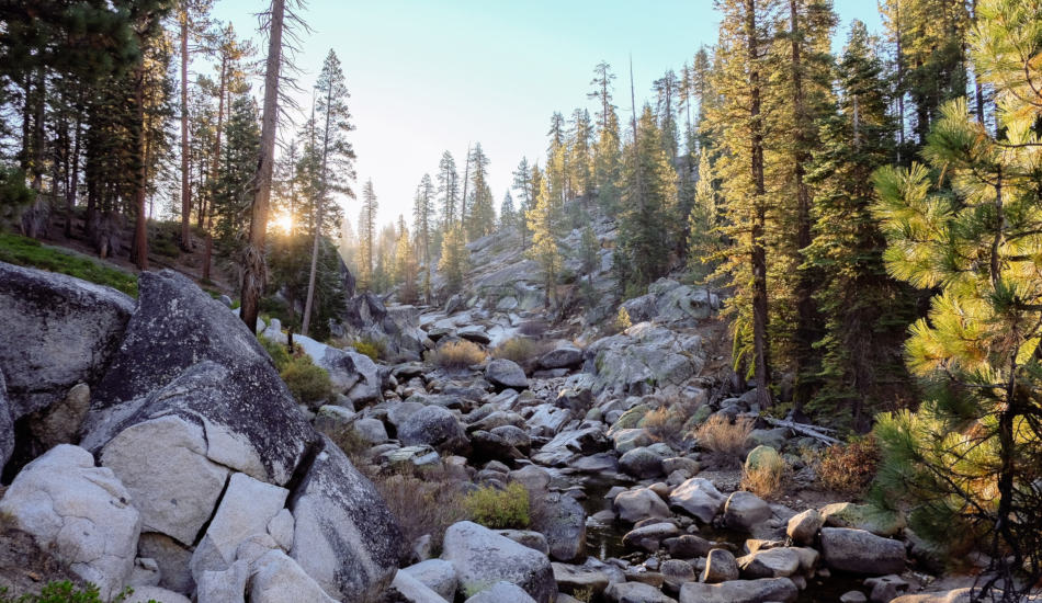 Boulders and pine trees line a steep slope.