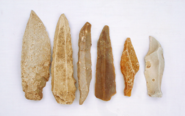Ancient DNA helps trace the movements of people and animals in the Caribbean.