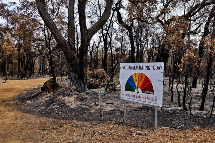 Their recommendations include implementing mapping and monitoring of plants and animals in bioregions most at risk in future fires, and developing strategies to protect these areas during fires.
