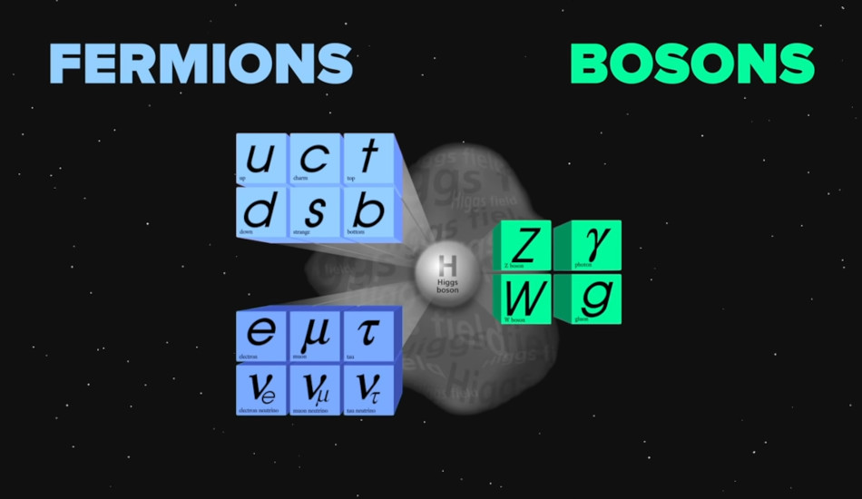 A table listing different types of fermions and bosons.