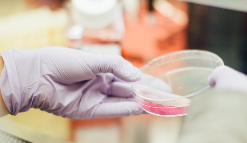 A technician holds a petri dish.