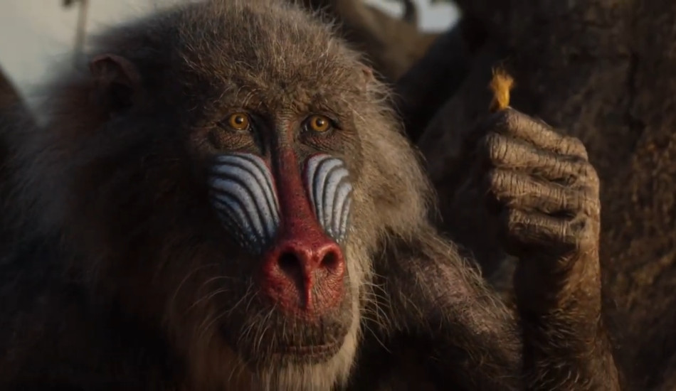 From the 2019 Disney movie, "The Lion King", Rafiki finds Simba's hair.
