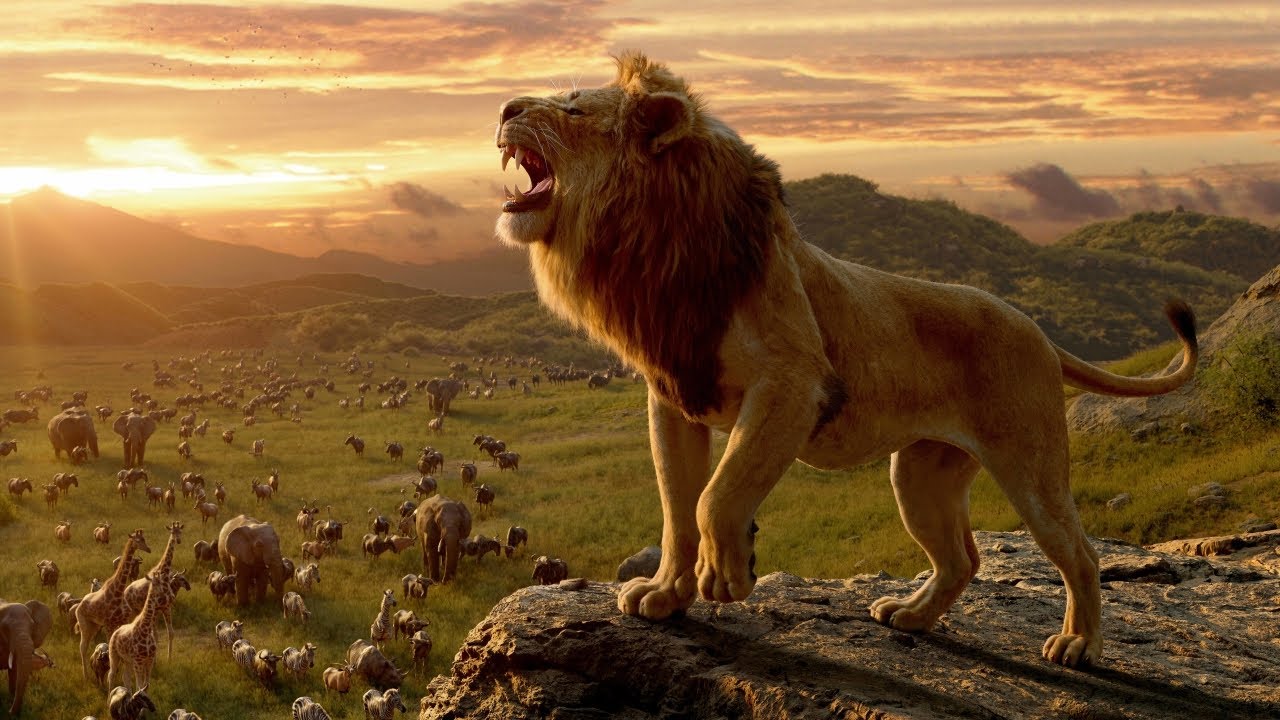 From the 2019 Disney movie, "The Lion King", Simba stands on a rock above the Pride Lands and roars.