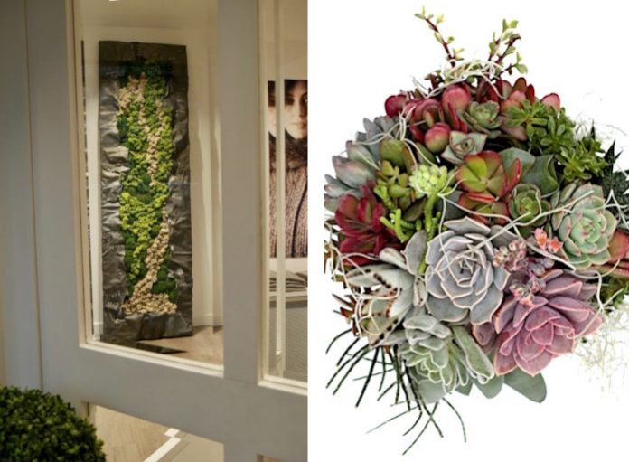 Artwork by Luca Nuvoli made from flowers along with a bouquet he created from succulents.