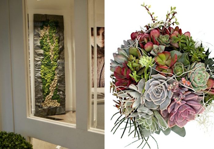 Artwork by Luca Nuvoli made from flowers along with a bouquet he created from succulents.