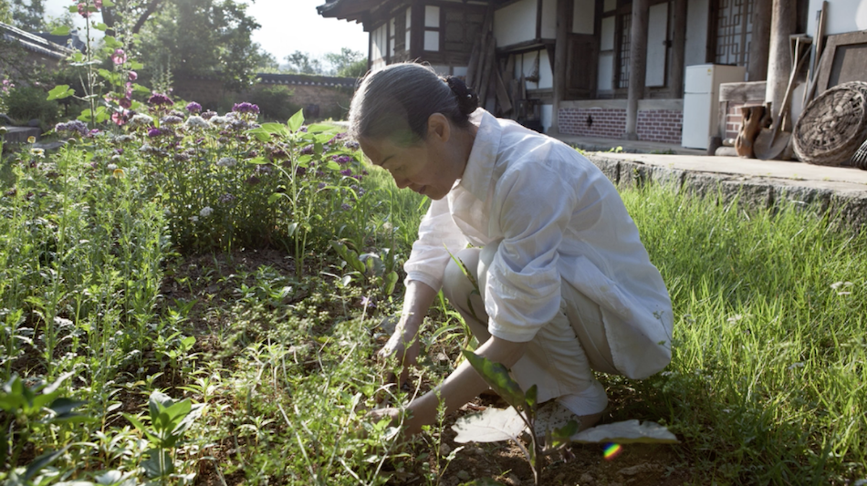 Tea house owner crouched down working in garden wears white purple flowers and tea house in background