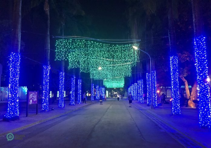 "Polar Light Avenue", a display with blue strings of lights wrapping trees on both sides of a lane while green strands of lights hang down from overhead, a lit avenue at the 2020 Christmas Festival, Pingtung Park, Taiwan.