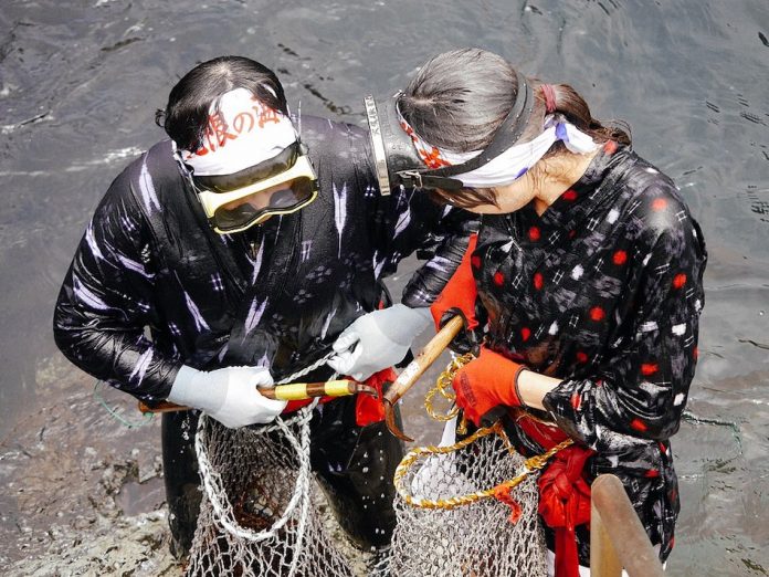 Two female ama divers with goggles wearing black and red clothing and gloves holding a net and some tools