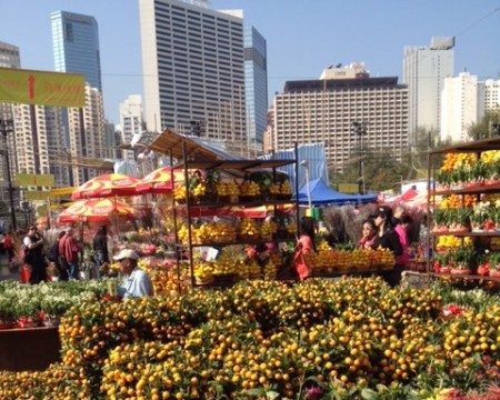chinese new year flower market in hong kong mandarin trees