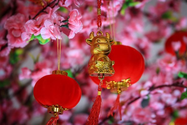 Dangling from a peach tree twig with blossoms is a golden ox. 2021 marks the year of the ox in the Chinese zodiac.