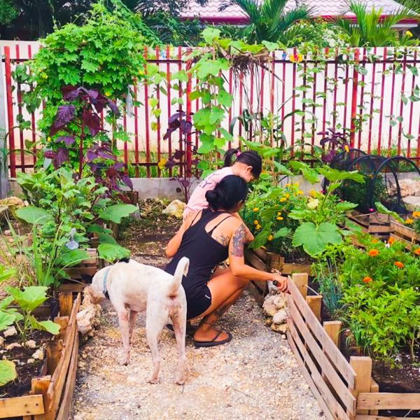 mother, son and dog in garden