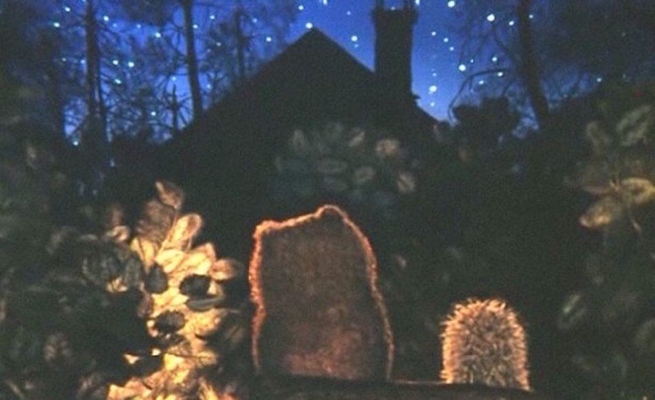 Animation still of a the back of a bear and hedgehog sitting on a log by a cabin in the forest gazing at the stars.