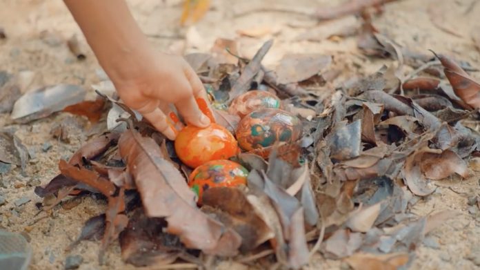 hand painted easter eggs put into a nest of leaves on the ground