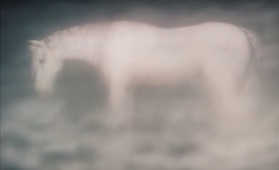 White horse animated screenshot in fog