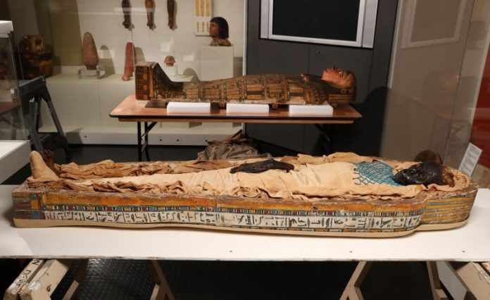 A new book published today explains how the famous mummy Takabuti was likely to have been murdered over 2,600 years ago.