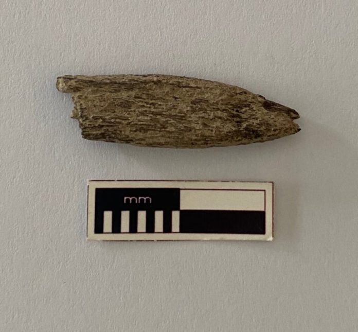 Ngarringjeri bone artifact.