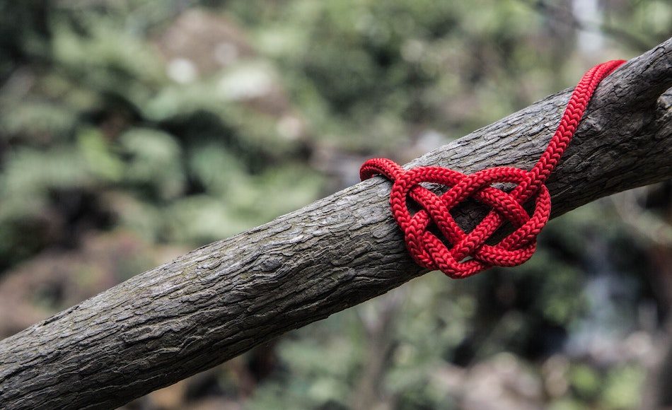chinese double coin not in red rope laying across a branch with an out of focus bushy green background