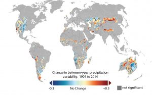 Global precipitation.