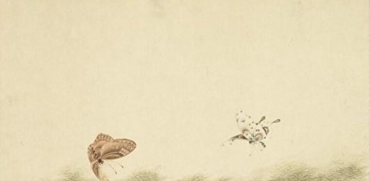 A painting of two butterflies.