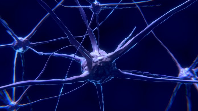 Real nerve cells in action - Our brain is naturally drawn to experiencing positive feelings and eluding unpleasant emotions.