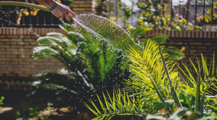 hand on hose waters garden