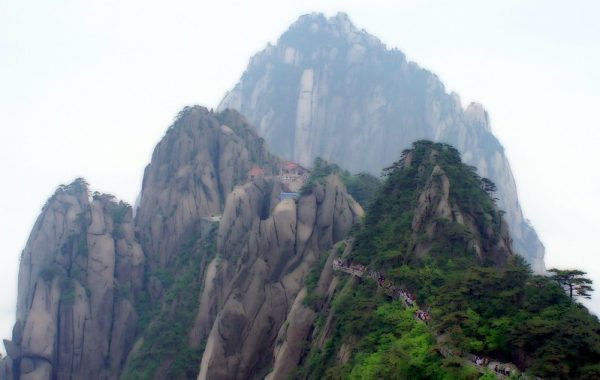 After this incident, people heard that Doctor Xue secluded himself in the remote mountains to practice Taoism.