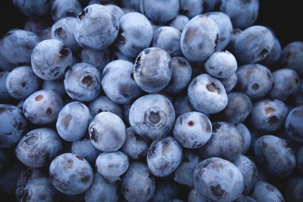 Blueberries laying in a pile.