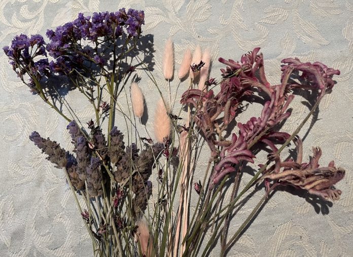 An assortment of dried flowers, from the left Perezii Blue, Lavender, dyed Bunny Tails, Pink Kangaroo Paw, Tiny flowers with long skinny stems from the Whirling Pink Butterfly Bush.
