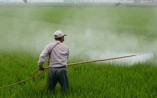 Pesticide use in European agriculture has been the norm for more than 70 years.