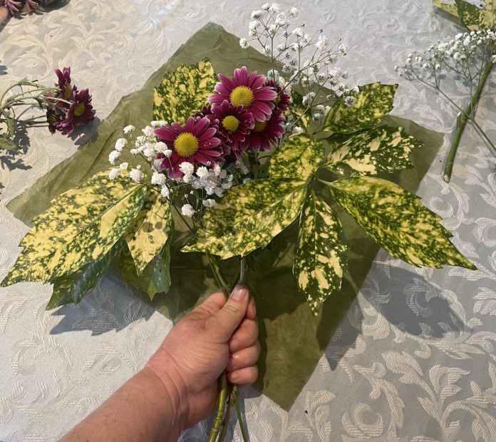 Aucuba Japonica leaves positioned on a piece of floral paper then added Baby’s breath then the pink Chrysanthemums. Hold the bouquet and bring corners of the paper together and tie all together with ribbon.