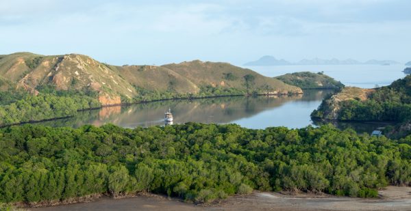 Home of the pink beach of Indonesia, the Komodo National Park.