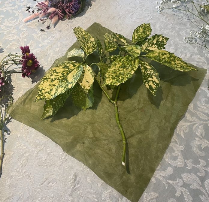 green paper and green leaves at the start of building a bouquet