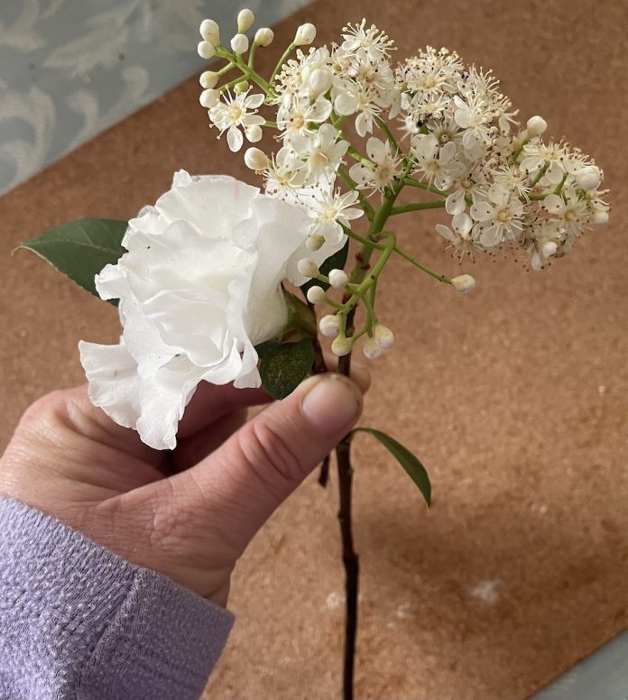 Prep for making a corsage two white flowers in hand
