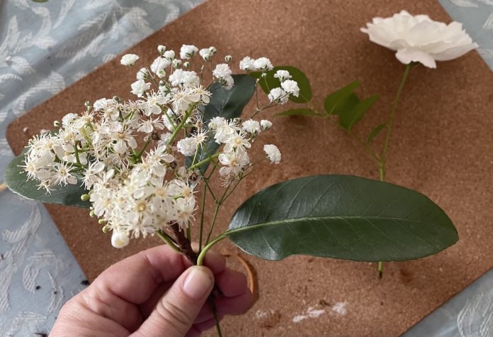 Privet Ligustrum flower and leaves held with one stem of Baby’s Breath and then position the Iceberg rose over the leaf to close the gap, next place the pink Geranium under the white flowers. Adjust flowers so they sit balanced then grip all together tightly. Wrap a pink ribbon around the stems of the posy tightly and tie a knot and a bow.