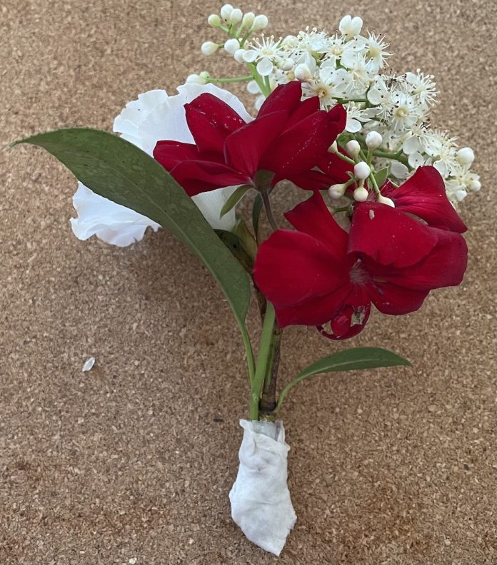 Making a corsage with Privet Ligustrum flower and leaves then adding a white Azalea then adding a red Geranium. Cut stems to make short and neat and wrap a small piece of wet tissue around the base. The tissue will keep the base of the flowers moist.