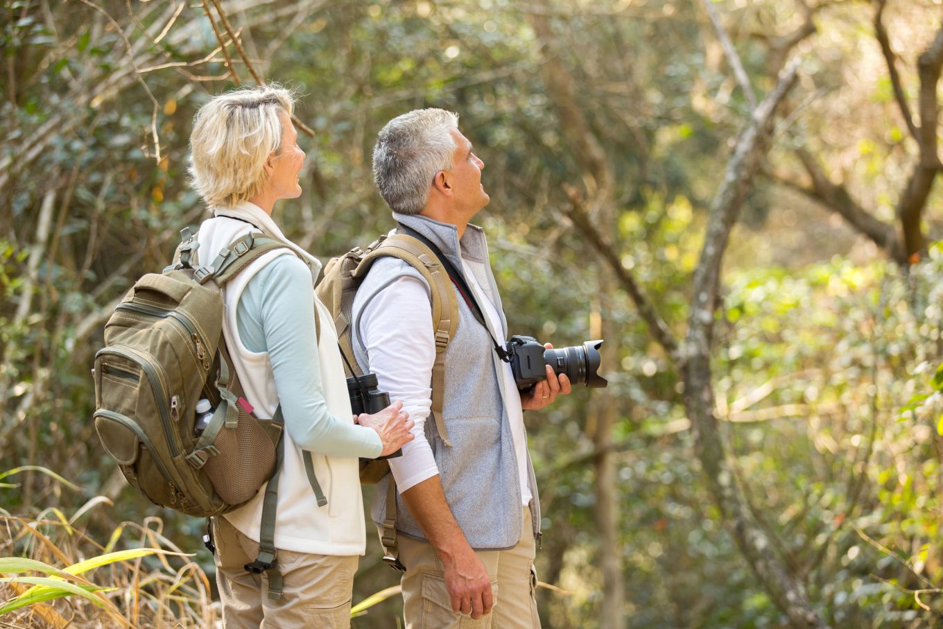 In various studies, it has been documented that the mental health of people is affected in various ways by the biodiversity of nature.