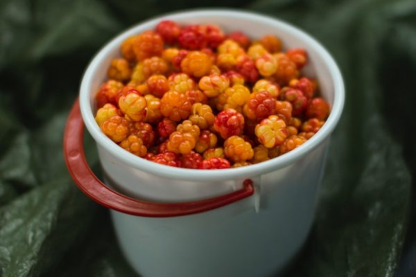 orange cloudberries in a white bucket from Finland
